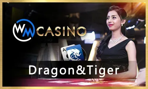 Spinoy88 online casino games selection